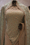 "The Pastel Olive" Premium Designer Saree with Veil