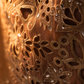The Designer Pakistani Cut Work Shirt Style Ready to Wear Dress