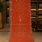 The Premium Designer Pakistani Dress Material Suit