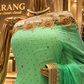 “The Double Shade Mint Green” Premium Designer Saree