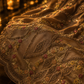 “The Golden Petals” Premium Designer Saree