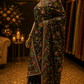 "The Black" Premium Kashmiri Parsi Gara Saree