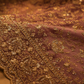 "The Mauve Pink" Premium Designer Saree