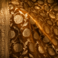"The Mustard Gold" Premium Banarasi Chiffon Saree