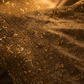 "The Golden Petals" Premium Designer Saree