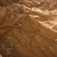 “The Champagne Gold” Premium Designer Saree