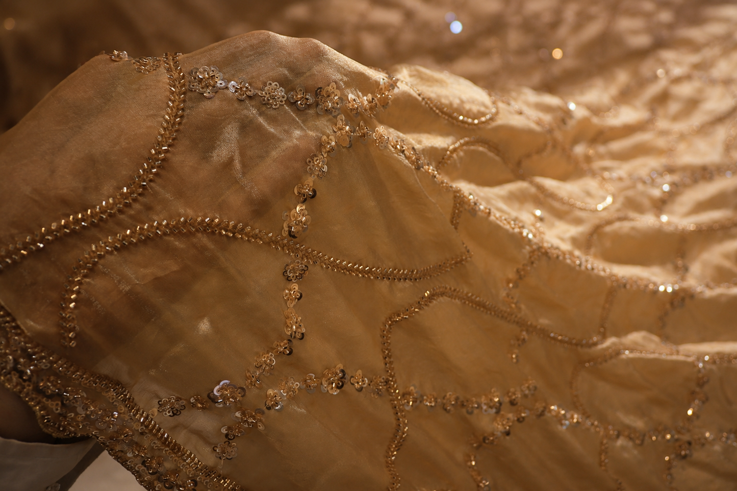 “The Champagne Gold” Premium Designer Saree