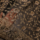 "The Royal Black" Premium Designer Saree