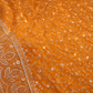 "The Royal Yellow" Premium Designer Saree With Veil
