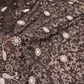 “The Stunning Black” Premium Designer Saree