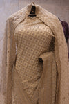“The Ceramic White” Premium Designer Saree with Veil