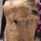 "The Champagne Gold" Designer Net Saree with Heavy Zardozi