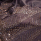 “The Exquisite Mauve” Premium Designer Saree