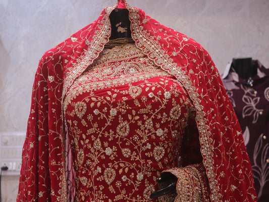 “The Bridal Red” Vol 2 Premium Designer Saree with Veil