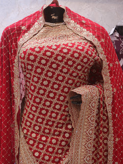 “The Bridal Red” Premium Designer Saree with Veil