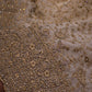 “The Luxury Ivory” Premium Designer Saree