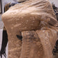 “The Elegant Gold” Premium Designer Saree