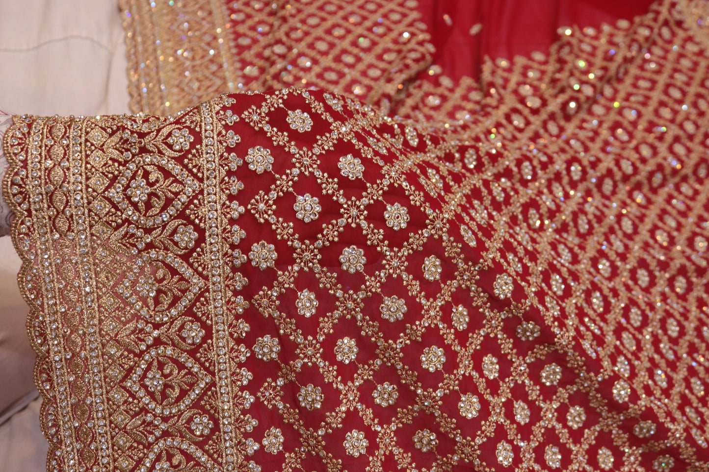 "The Raspberry Sorbet" Bridal Saree with Veil