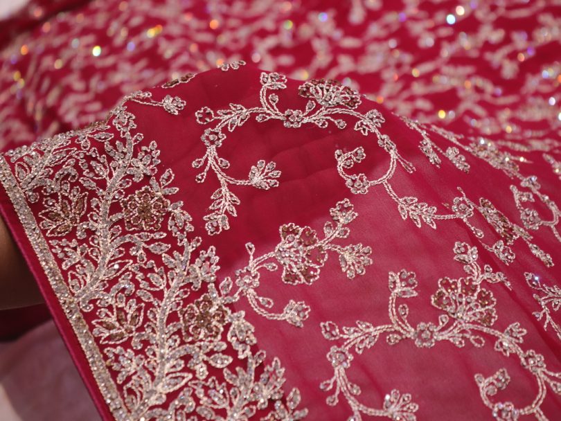 “The Raspberry Sorbet” Vol 2 Premium Designer Saree - Image 5