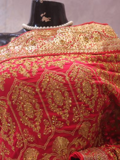 "The Red Salsa" Premium Designer Saree