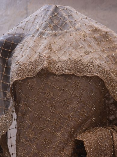 "The Golden Petals" Vol 20 Premium Designer Saree with Veil