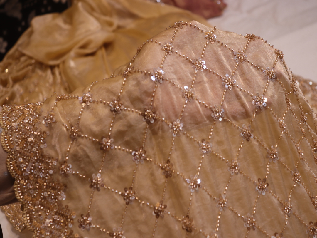 “The Light Fawn” Premium Designer Saree - Image 5